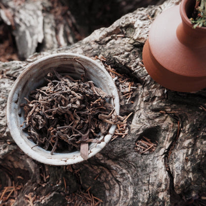 Розсипний Шу Пуер з древніх дерев 2024 рік