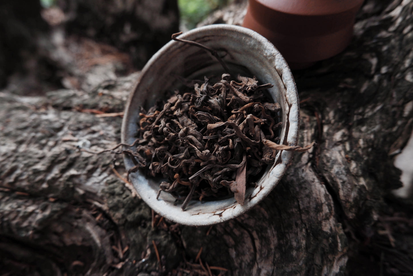 Розсипний Шу Пуер з древніх дерев 2024 рік