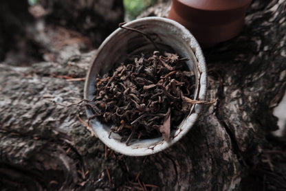 Розсипний Шу Пуер з древніх дерев 2024 рік